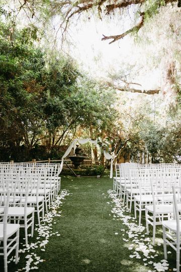 The Dainty Daydream