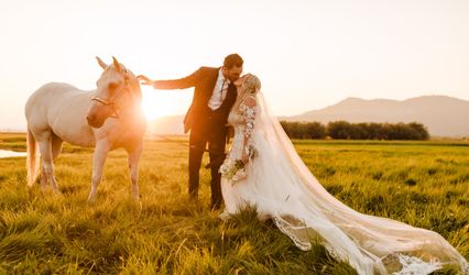 Diamond Cross Ranch