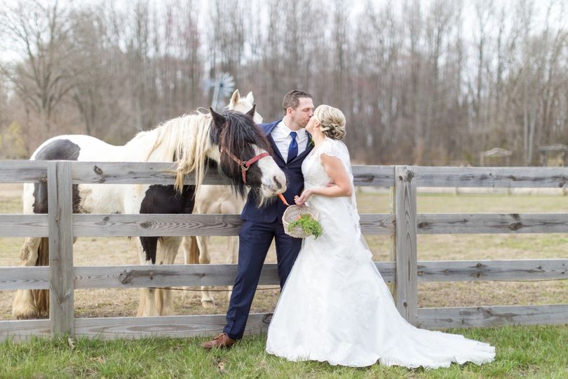 Tami Ryan Photography Reviews Haddonfield Nj 81 Reviews