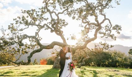Elizabeth Burgi Photography