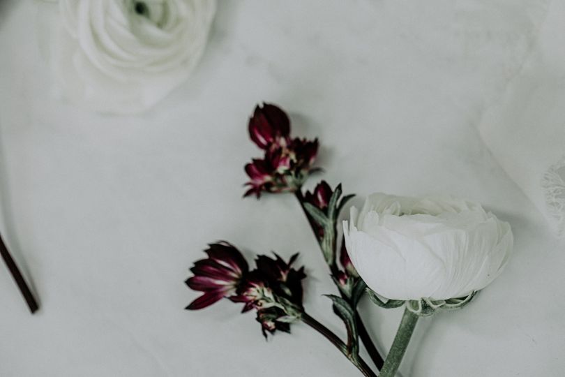 Angela Johnson Photography