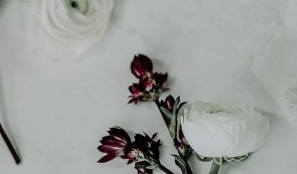 Angela Johnson Photography