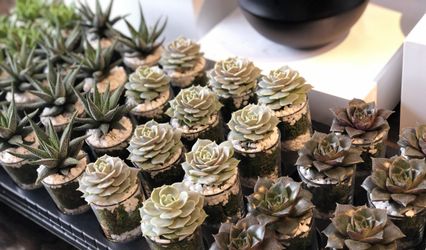 Unique Flowers