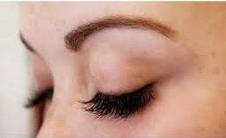 3d Volume Lash Brow Studio Beauty Health Fayetteville Nc