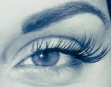 3d Volume Lash Brow Studio Beauty Health Fayetteville Nc