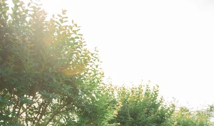 Chesapeake Shore Weddings & Events