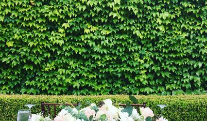 Shine Wedding Coordination