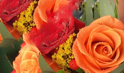 Hawley's Florist