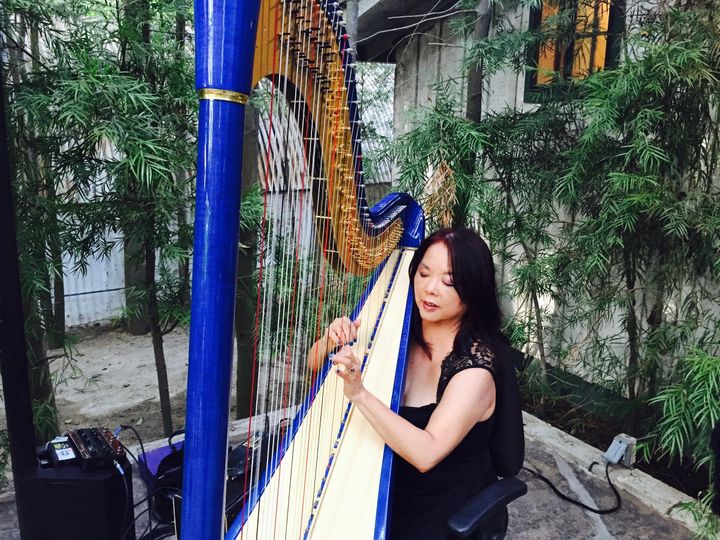 Harp Music By Vonette & Musical Networks
