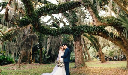 Finding Light Photography