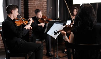 Project String Quartet