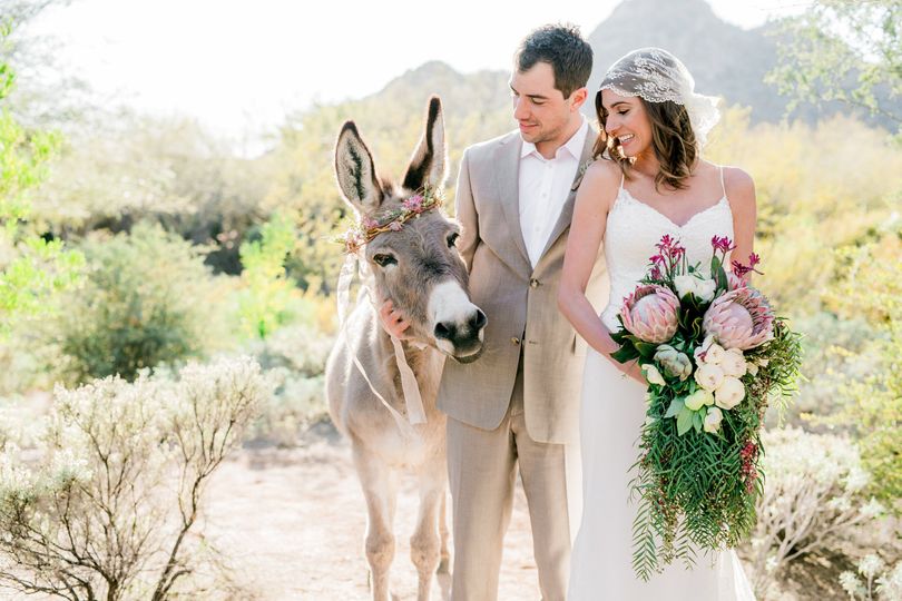 Haul N Ass Productions