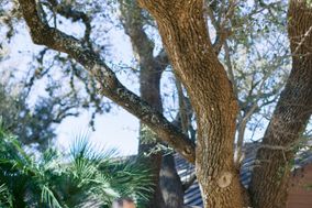 Memory Lane Ranch & Lodge