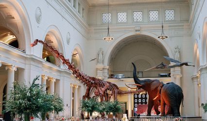 The Field Museum