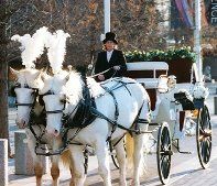 Threejays Carriages