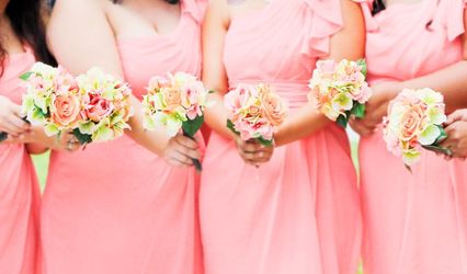 Tammy Mayfield Photography