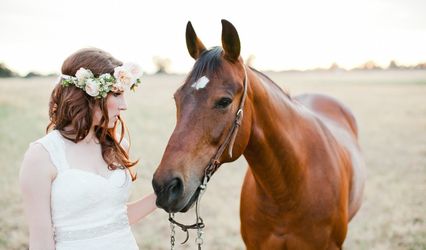 Jasmine Lee Photography