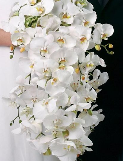 Blossom & Bee Floral & Event Design