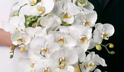 Blossom & Bee Floral & Event Design