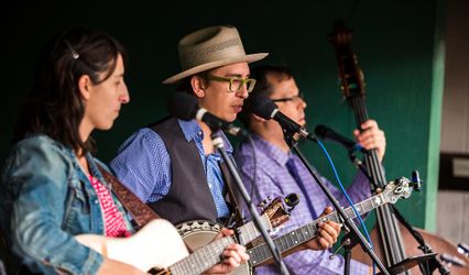 Lost Pines Bluegrass and Bouquet Bands