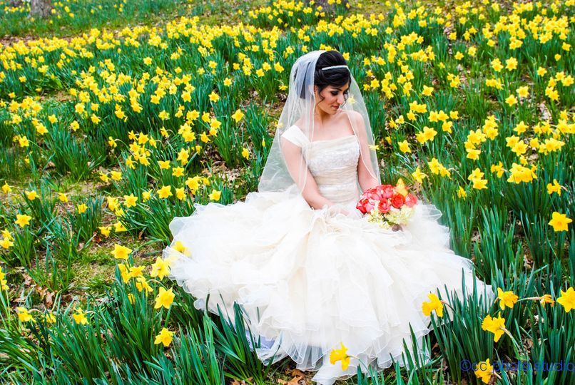 CC Photo Studio