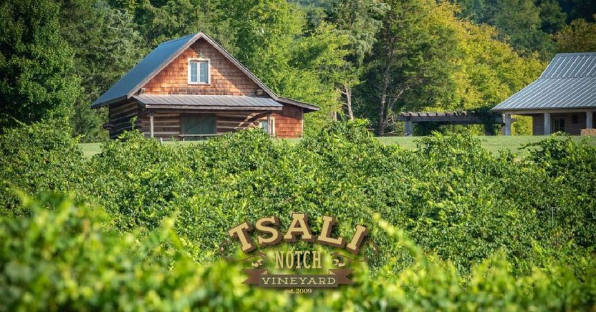 Tsali Notch Vineyard