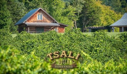 Tsali Notch Vineyard