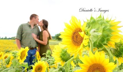 Danielle's Images