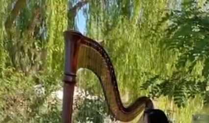 Carol Ng Piano and Harp