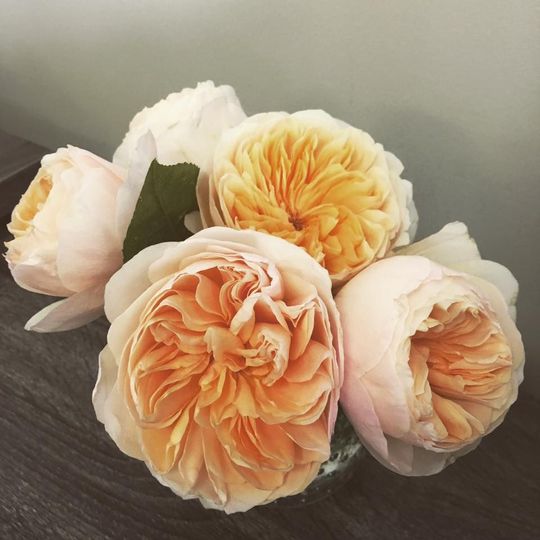 Design Works Flowers