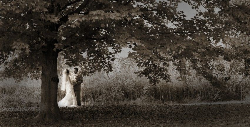 Just In Wedding Photography
