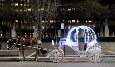 Hemingway Carriages