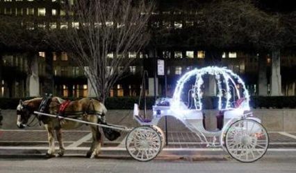 Hemingway Carriages