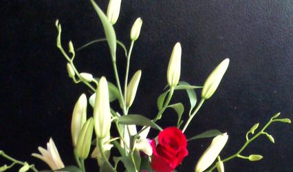 Stardust Floral Designs