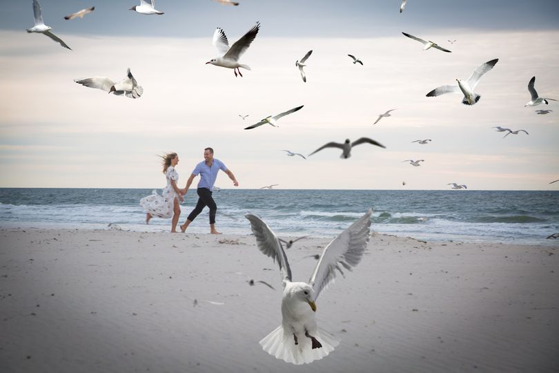 Tracey Elizabeth Photography