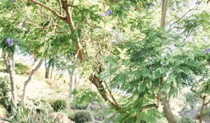 Dove Canyon Courtyard