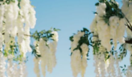 MintFloralStudio Miami