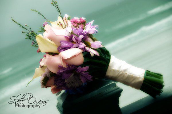 Shell Owens Photography