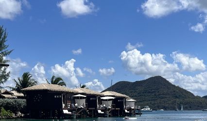 THE TRAVEL AGENCY LLC