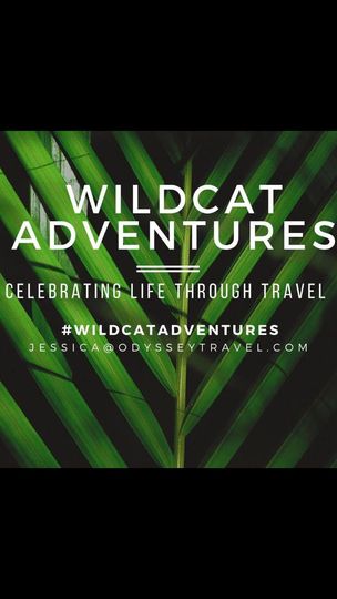 Wildcat Adventures