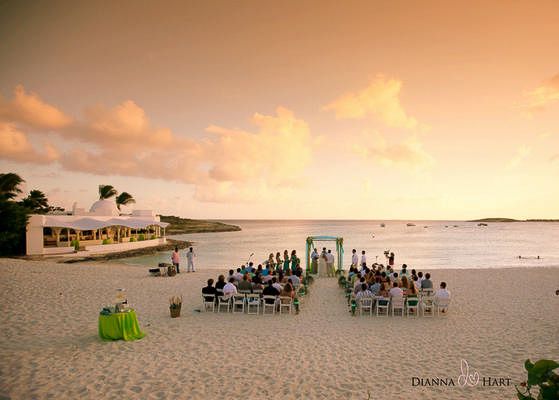 Dianna Hart Photography