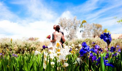 Tucson Botanical Gardens