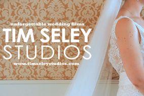 Tim Seley Studios