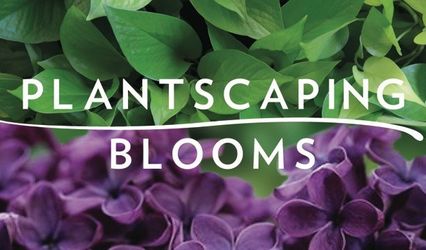 Plantscaping & Blooms
