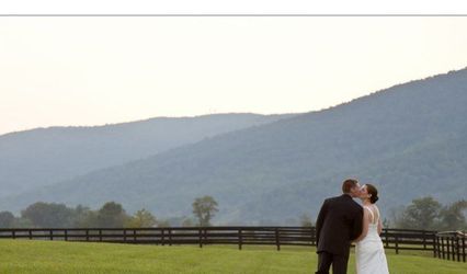 Mostardi Wedding Photography