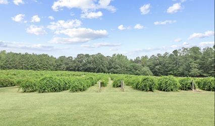 Harrells Vineyard