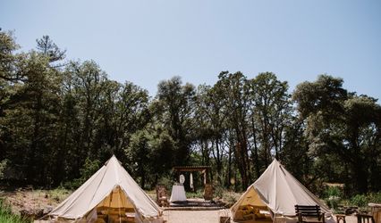 Wayward Glamping