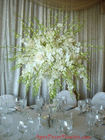 Apex Decor Flowers Reviews Garden Grove Ca 14 Reviews