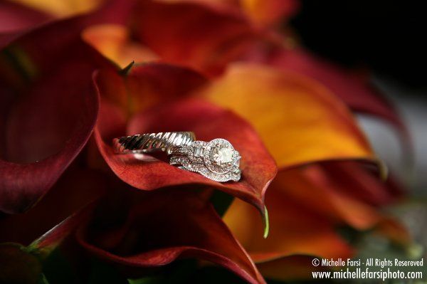Michelle Farsi Photography