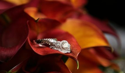 Michelle Farsi Photography